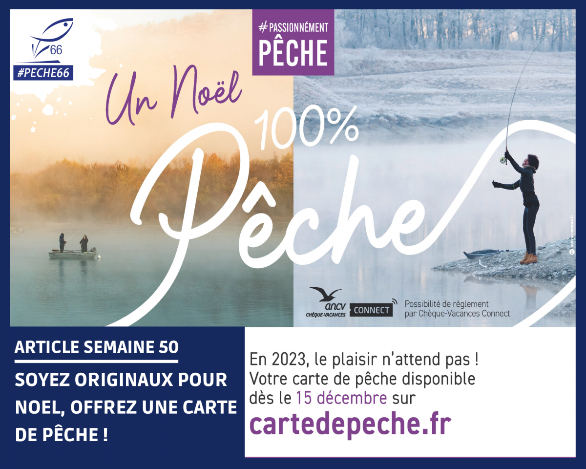 Soyez originaux pour Noël, offrez une carte de pêche ! Fédération des